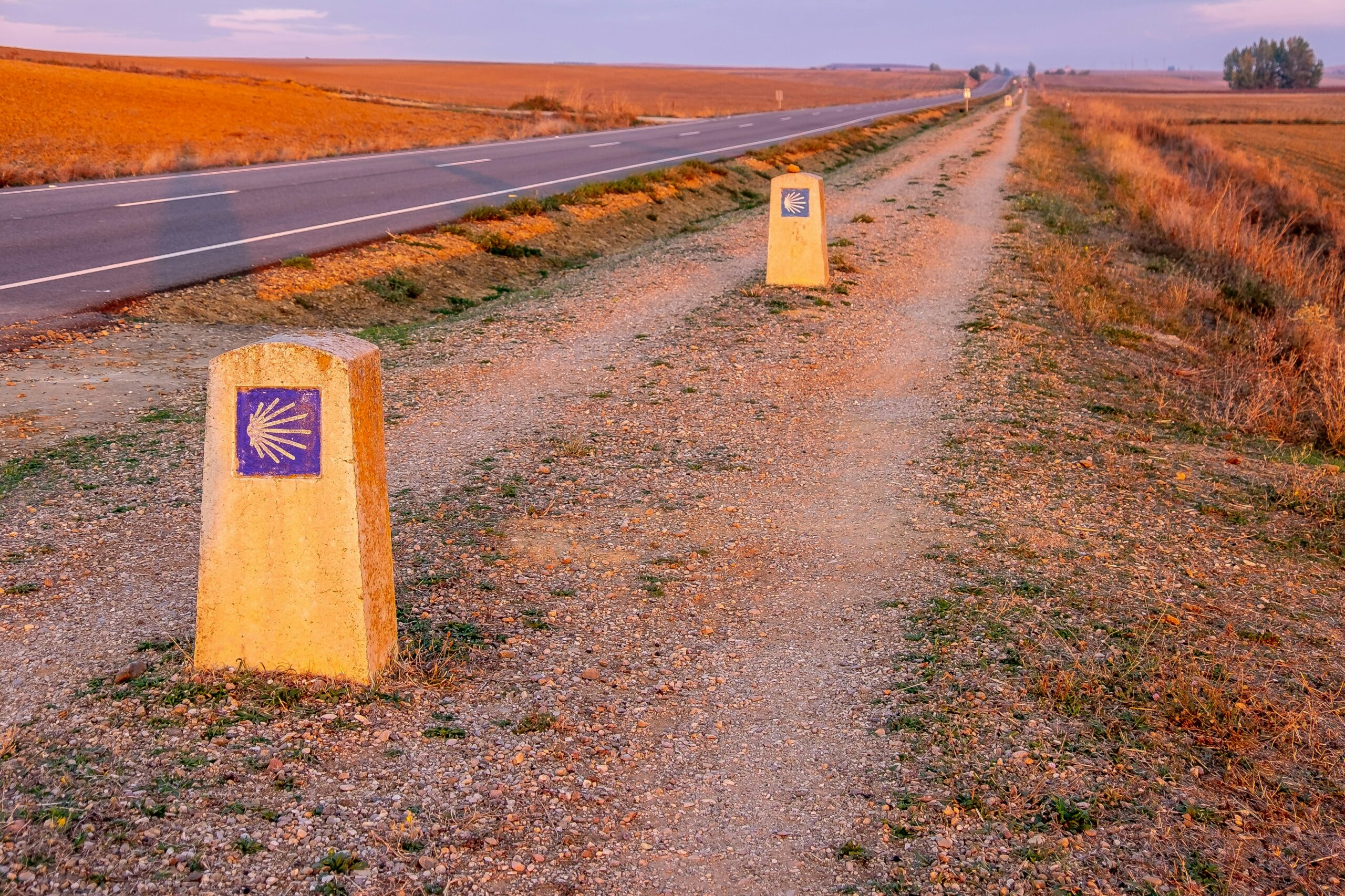 Imagen del Camino de Santiago a su paso por Palencia