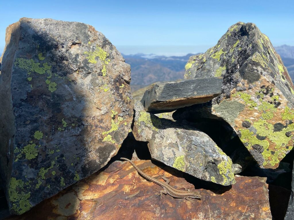 Imagen desde lo alto del pico Murcia